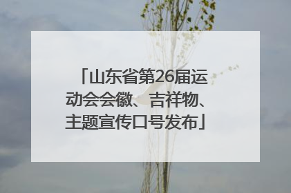 山东省第26届运动会会徽、吉祥物、主题宣传口号发布