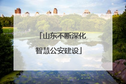 山东不断深化智慧公安建设