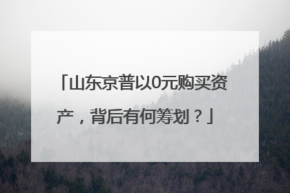 山东京普以0元购买资产，背后有何筹划？