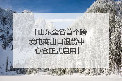 山东全省首个跨境电商出口退货中心仓正式启用