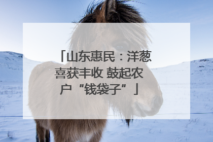 山东惠民：洋葱喜获丰收 鼓起农户“钱袋子”