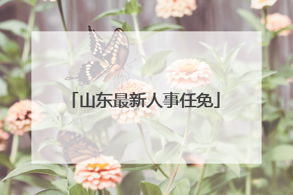 山东最新人事任免