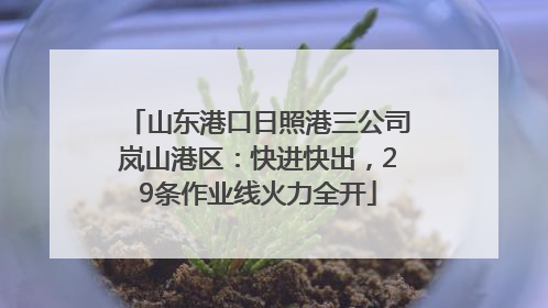 山东港口日照港三公司岚山港区：快进快出，29条作业线火力全开