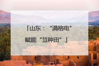山东：“满格电”赋能“慧种田”