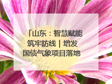 山东：智慧赋能 筑牢防线｜增发国债气象项目落地见效系列报道