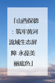 山西保德：筑牢黄河流域生态屏障 永葆美丽底色
