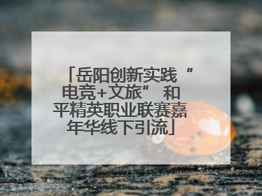 岳阳创新实践“电竞+文旅” 和平精英职业联赛嘉年华线下引流