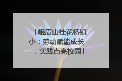 峨眉山桂花桥镇小：劳动赋能成长，实践点亮校园
