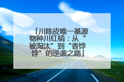 川陈皮唯一基源物种川红橘：从“被淘汰”到“香饽饽”的逆袭之路