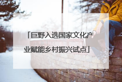 巨野入选国家文化产业赋能乡村振兴试点
