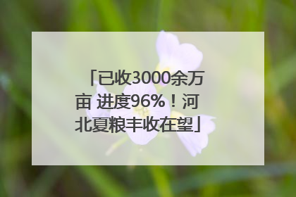 已收3000余万亩 进度96%！河北夏粮丰收在望