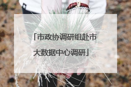 市政协调研组赴市大数据中心调研