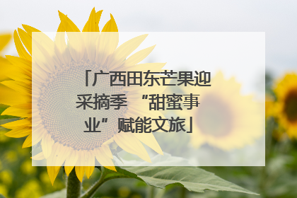 广西田东芒果迎采摘季 “甜蜜事业”赋能文旅