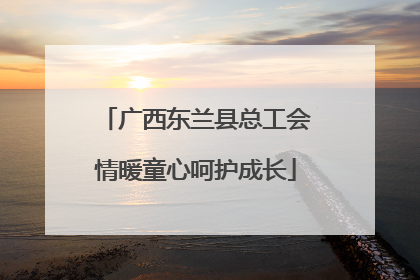 广西东兰县总工会情暖童心呵护成长