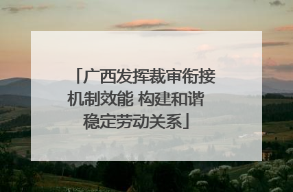 广西发挥裁审衔接机制效能 构建和谐稳定劳动关系