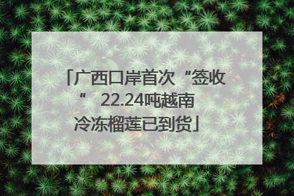 广西口岸首次“签收” 22.24吨越南冷冻榴莲已到货