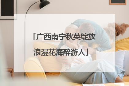 广西南宁秋英绽放 浪漫花海醉游人