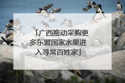 广西推动采购更多东盟国家水果进入寻常百姓家