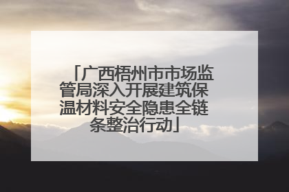 广西梧州市市场监管局深入开展建筑保温材料安全隐患全链条整治行动
