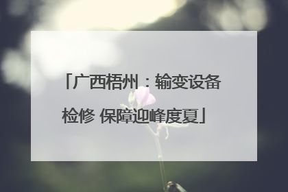 广西梧州：输变设备检修 保障迎峰度夏
