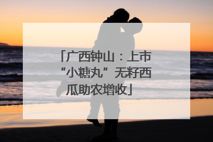广西钟山：上市“小糖丸”无籽西瓜助农增收