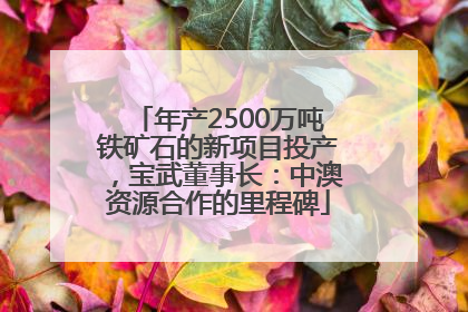 年产2500万吨铁矿石的新项目投产，宝武董事长：中澳资源合作的里程碑