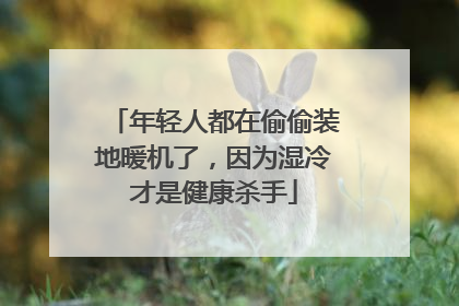 年轻人都在偷偷装地暖机了，因为湿冷才是健康杀手