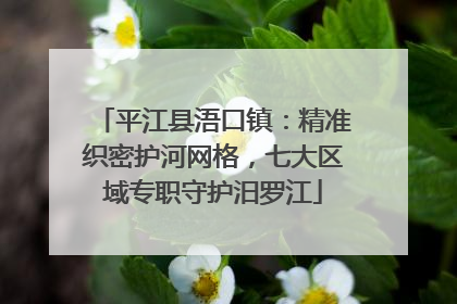 平江县浯口镇：精准织密护河网格，七大区域专职守护汨罗江