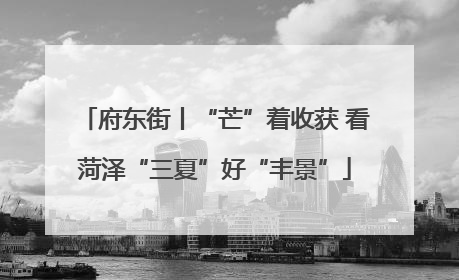 府东街丨“芒”着收获 看菏泽“三夏”好“丰景”