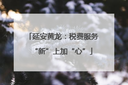 延安黄龙：税费服务“新”上加“心”