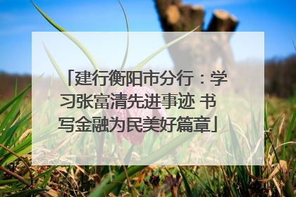 建行衡阳市分行：学习张富清先进事迹 书写金融为民美好篇章