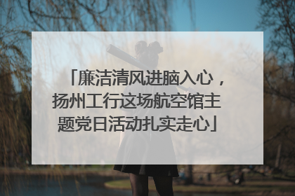 廉洁清风进脑入心，扬州工行这场航空馆主题党日活动扎实走心