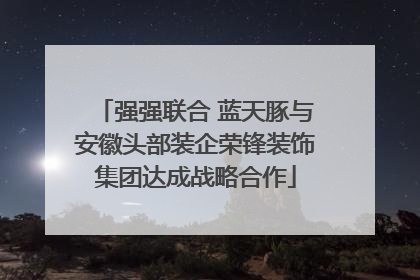 强强联合 蓝天豚与安徽头部装企荣锋装饰集团达成战略合作