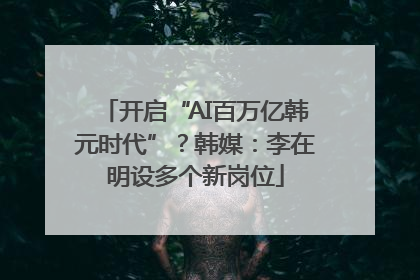 开启“AI百万亿韩元时代”？韩媒：李在明设多个新岗位