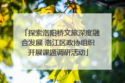 探索洛阳桥文旅深度融合发展 洛江区政协组织开展课题调研活动