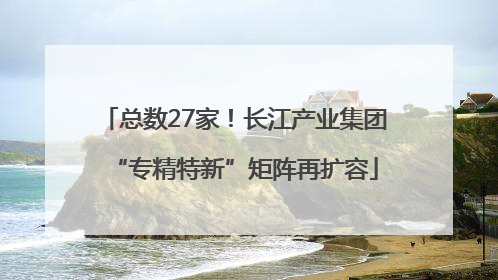 总数27家！长江产业集团“专精特新”矩阵再扩容