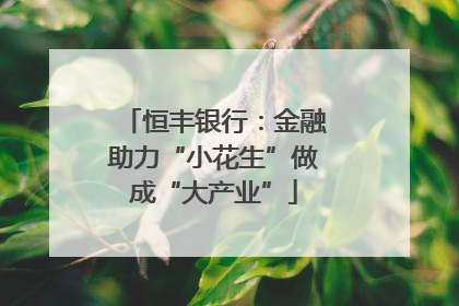 恒丰银行：金融助力“小花生”做成“大产业”