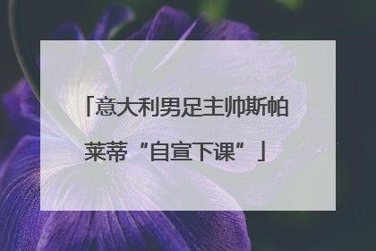 意大利男足主帅斯帕莱蒂“自宣下课”