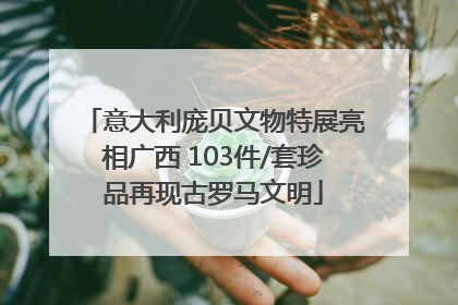 意大利庞贝文物特展亮相广西 103件/套珍品再现古罗马文明