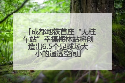 成都地铁首座“无柱车站”幸福梅林站将创造出6.5个足球场大小的通透空间