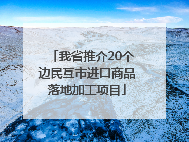 我省推介20个边民互市进口商品落地加工项目