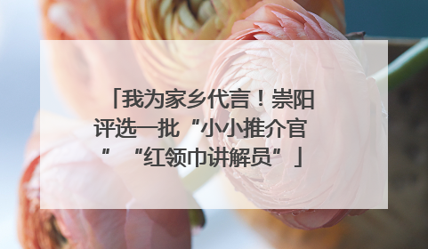 我为家乡代言！崇阳评选一批“小小推介官”“红领巾讲解员”