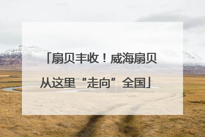 扇贝丰收！威海扇贝从这里“走向”全国