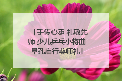 手传心承 礼敬先师 少儿乒乓小将曲阜孔庙行尊师礼