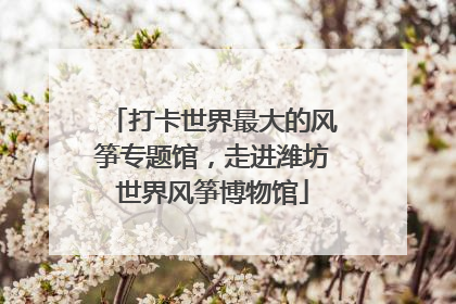 打卡世界最大的风筝专题馆，走进潍坊世界风筝博物馆