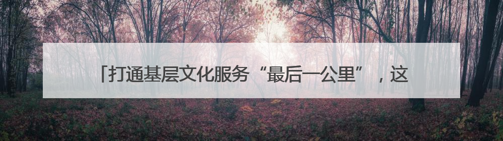 打通基层文化服务“最后一公里”，这个“大篷车”让村庄拥有“诗和远方”