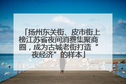 扬州东关街、皮市街上榜江苏省夜间消费集聚商圈，成为古城老街打造“夜经济”的样本