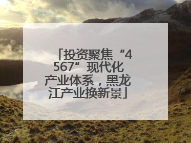 投资聚焦“4567”现代化产业体系，黑龙江产业换新景