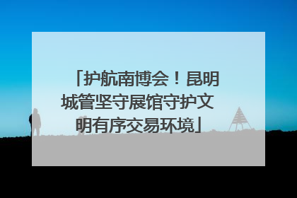 护航南博会！昆明城管坚守展馆守护文明有序交易环境