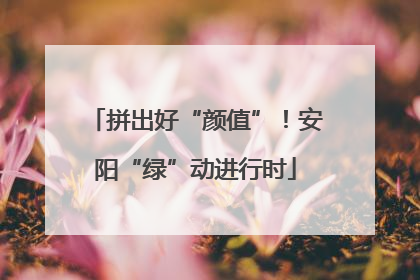 拼出好“颜值”！安阳“绿”动进行时
